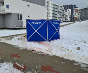 Krwawa masakra w Rzeszowie. Wołała pomocy, gdy dźgał ją nożem kuchennym. Nowe fakty [ZDJĘCIA]