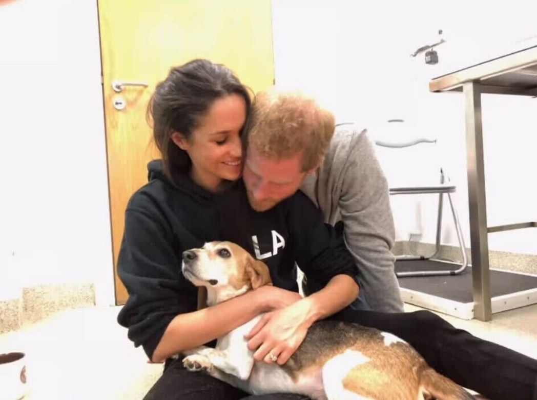  Meghan Markle w żałobie. "Wypłakałam tyle łez". Pisze o prysznicu, a ludzie nie mają litości