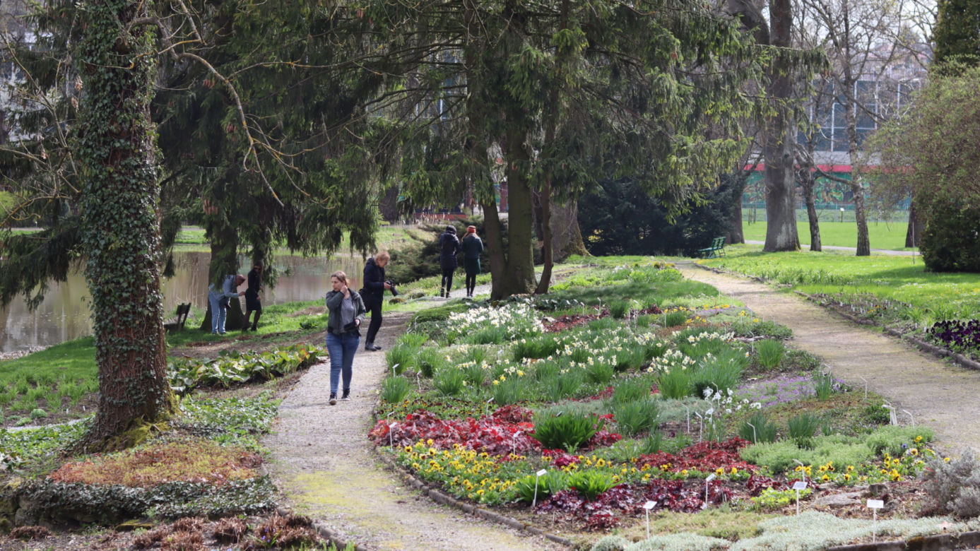 Ogród Botaniczny w Lublinie otwarty! Wszędzie widać wiosnę