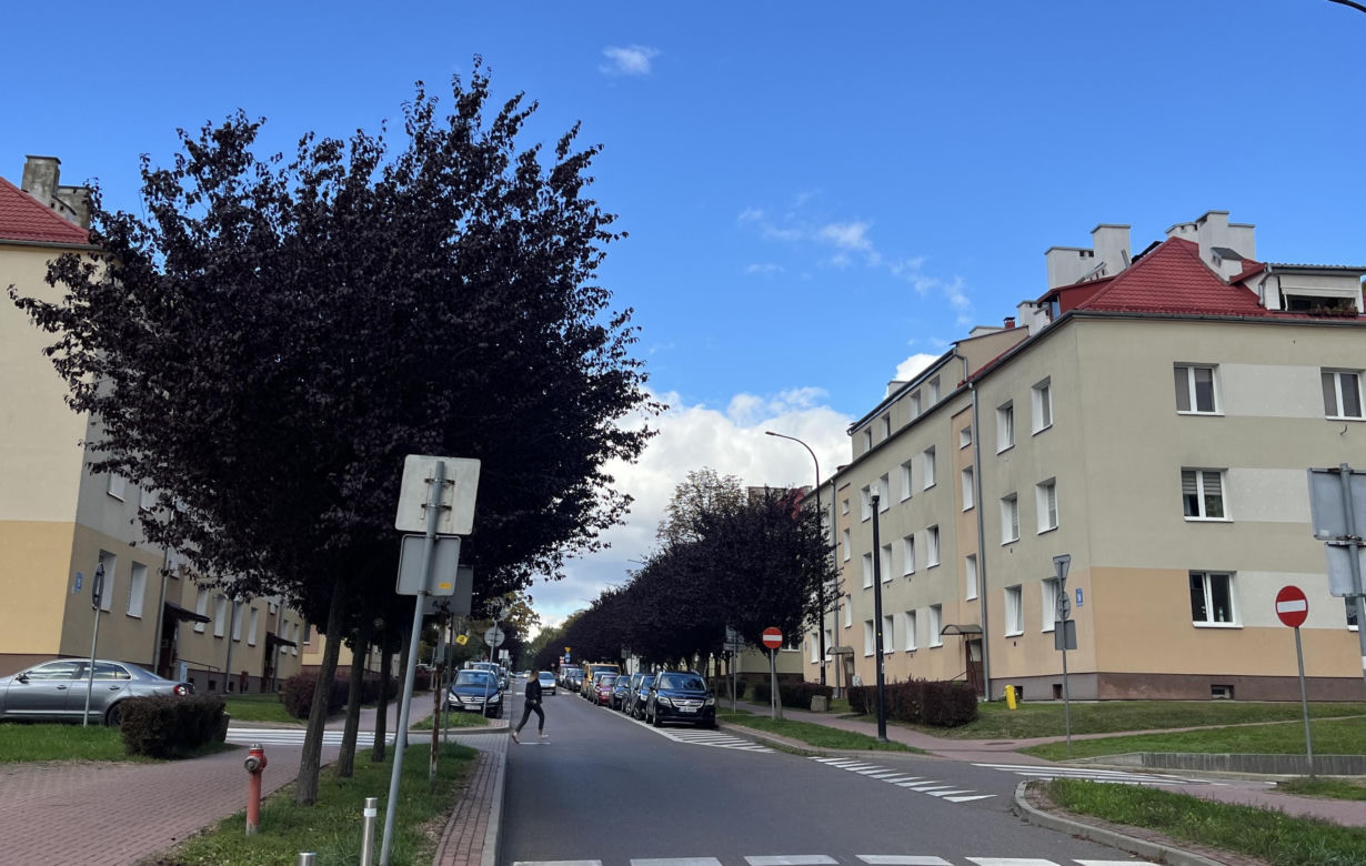 Świdnik