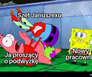 Memy o pracy