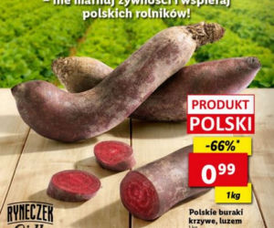 Super promocje w Lidlu