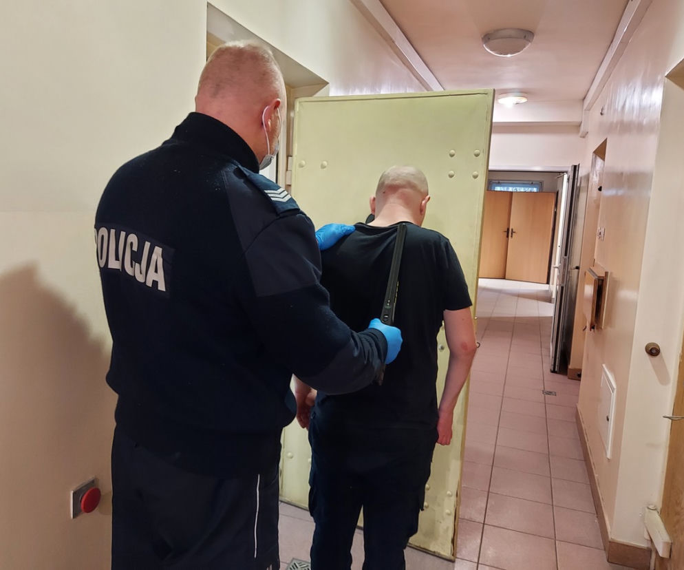 policja