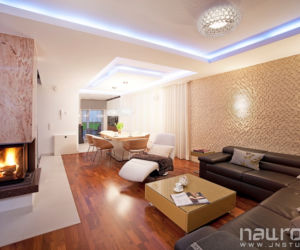 Salon z jadalnią