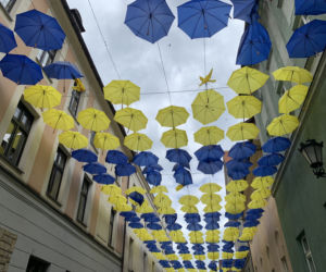 Daisy Days w Pszczynie przyciągnęły tłumy turystów