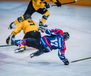 GKS Katowice - KH Energa Toruń 0:1, zdjęcia z Katowic