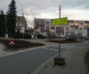 Ptasia grypa Wrocław