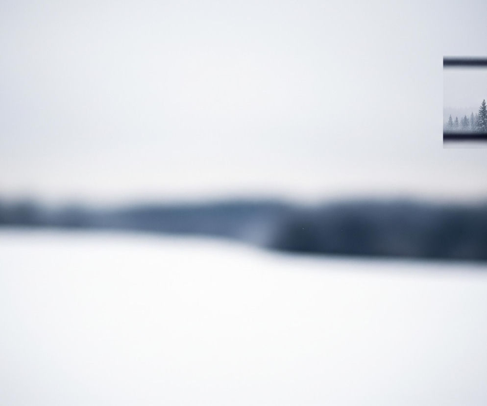 Dominującym elementem jest rozmyty zimowy krajobraz. Dolna część kadru to szeroka, biała płaszczyzna śniegu, przechodząca w niewyraźną linię horyzontu z ciemniejszym, rozmazanym pasmem drzew. Górna połowa to jasne, szare, rozmyte niebo. W prawym górnym rogu znajduje się małe, ostre okno z czarną ramą, ukazujące wyraźny widok zimowego lasu z kilkoma jodłami pod zamglonym, jasnym niebem.