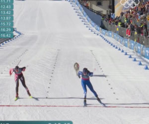 IO 2026: Pies na trasie biegu