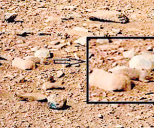 SUPER FOKUS: Mars tętni życiem?