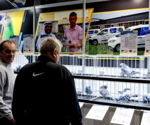 Katowice stolicą gołębiarstwa. Za nami 17. edycja EXPOGołębie. To największa tego typu impreza w Europie