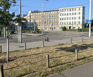 Wrocław jak pustynia! Przerażające widoki w parkach i na osiedlach