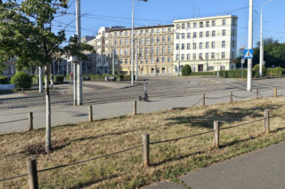 Wrocław jak pustynia! Przerażające widoki w parkach i na osiedlach