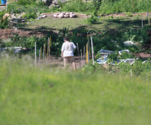 Nawiedzona szamanka głodzi zwierzęta