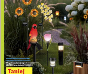 Majówka w ogrodzie- nowe promocje w Lidl