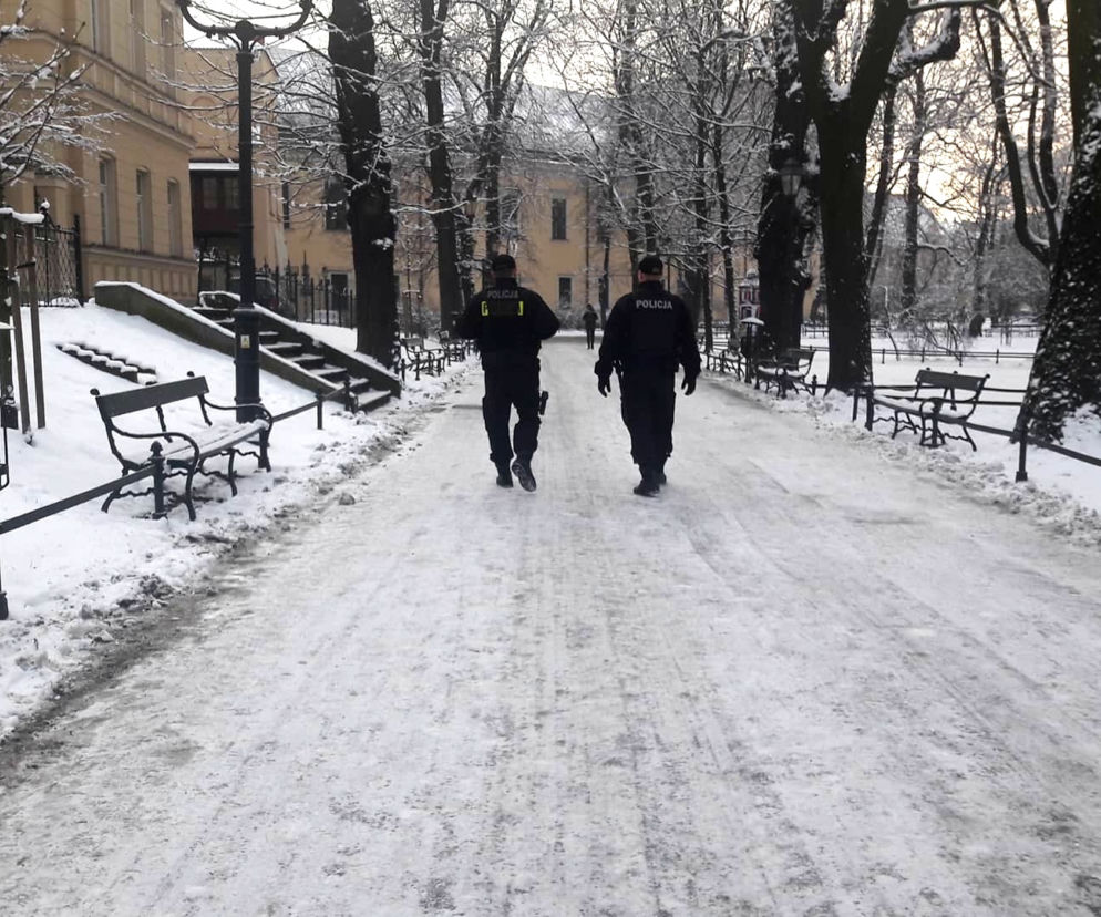 Zdjęcie poglądowe