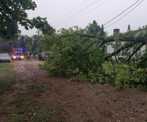 Drzewo przygniotło auto! Gdzie są burze w Płocku i okolicach?