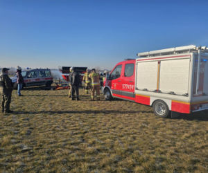 50 martwych łabędzi w Jutrosinie. Dlaczego padły?