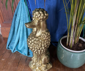 Co naprawdę dzieje się w zamku Zdrajców? Mamy zdjęcia zza kulis hitu TVN!