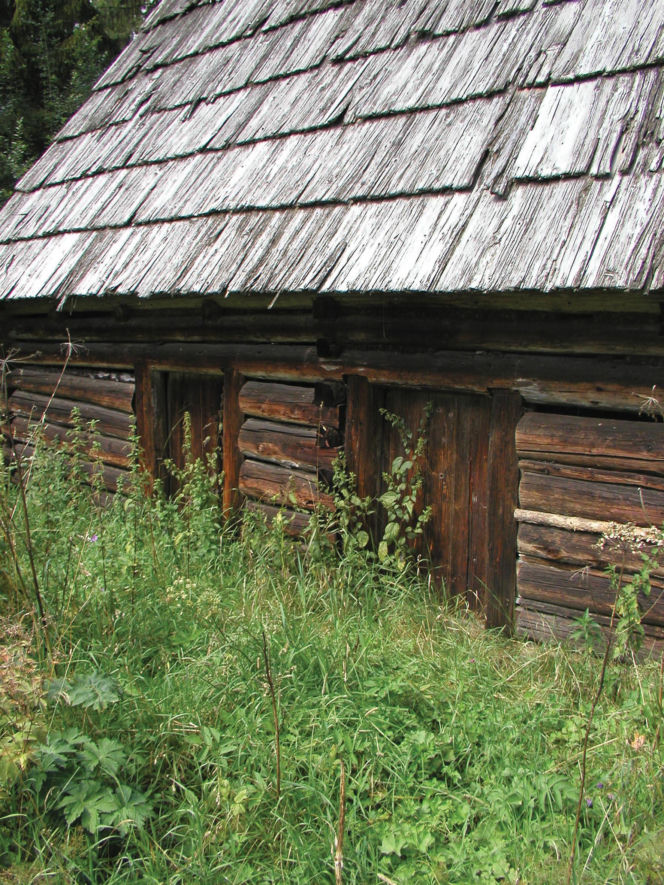 To jedna z najpiękniejszych wsi na Podhalu. Według legendy jej pierwszym sołtysem był słynny zbójnik