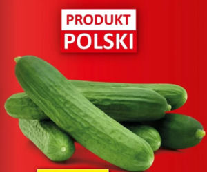 Super promocje w Lidlu