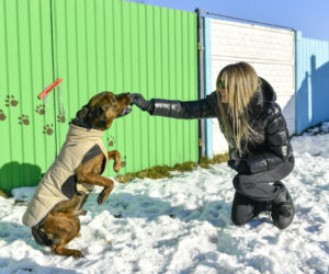 Doda i Rozenek-Majdan walczą o prawa zwierząt
