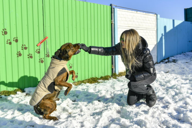 Doda i Rozenek-Majdan walczą o prawa zwierząt