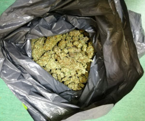 Prawie kilogram trawki trzymał w kuchni