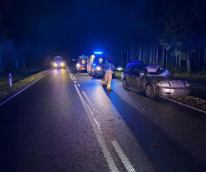 Auto uderzyło w łosia. Ranny jest 35 letni mężczyzna