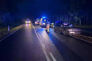 Auto uderzyło w łosia. Ranny jest 35 letni mężczyzna