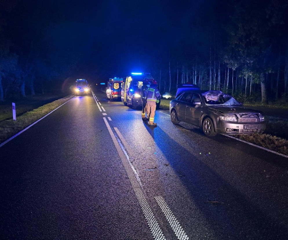 Rozbite auto po zderzeniu z łosiem na ciemnej drodze. Służby na miejscu. O wypadku przeczytasz na Eska Białystok.