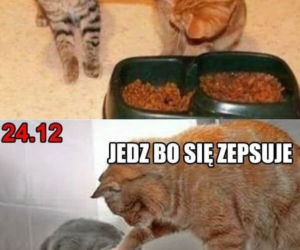 Święta Bożego Narodzenia. Te MEMY przed świętami rozbawią Was do łez! [MEMY]