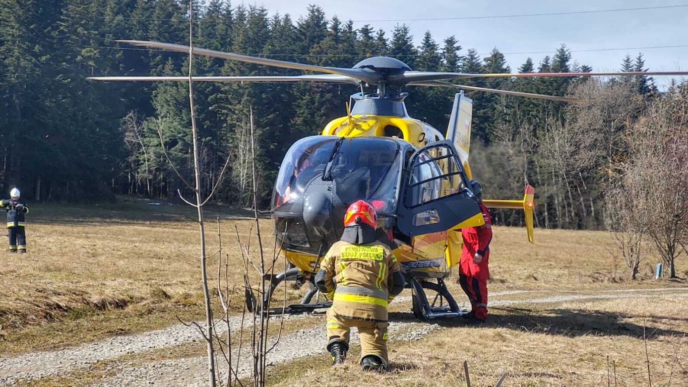 Stara Wieś. Tragedia podczas wycinki drzew. Konar przygniótł mężczyznę. Poszkodowany nie żyje