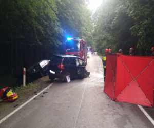 Tragiczny wypadek na trasie Hajnówka - Białowieża. Zginęła kobieta