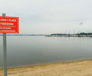 Plaża w Dąbiu otwarta po remoncie