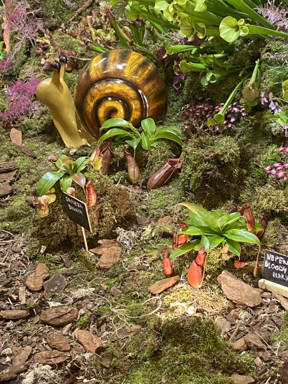 "Potworne Cuda", Światowa Wystawa Orchidei, Bonsai i Sukulentów oraz targi roślin na PGE Narodowym
