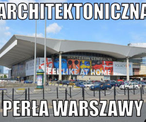 Tego nie usłyszysz od warszawiaka