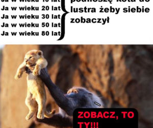 Dzień Kota 2020