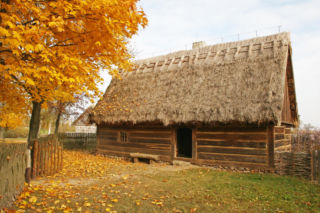 To najpiękniejsza wieś w Wielkopolsce według AI. Nadal widać tam kulturę chłopską z XVIII wieku!