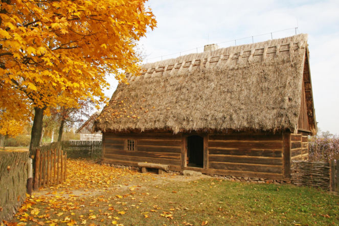 To najpiękniejsza wieś w Wielkopolsce według AI. Nadal widać tam kulturę chłopską z XVIII wieku!