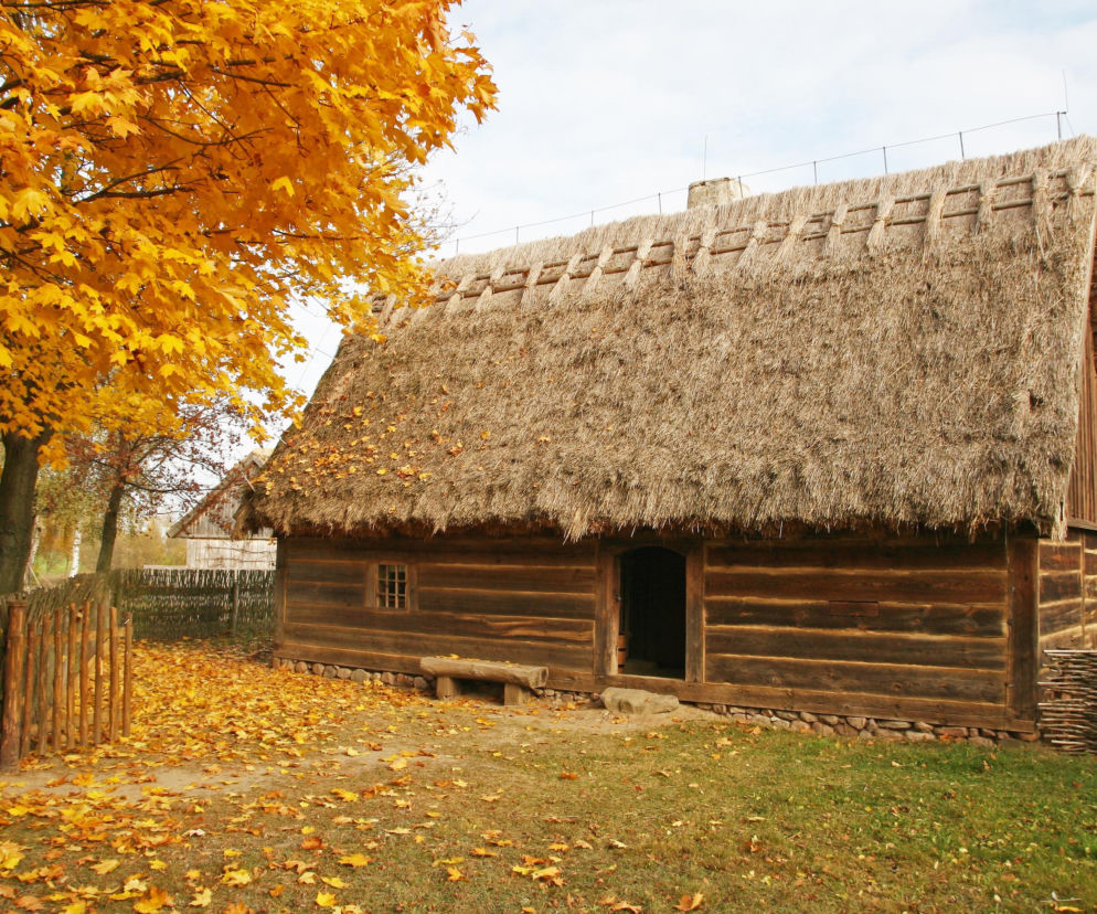 Dziekanowice w Wielkopolsce