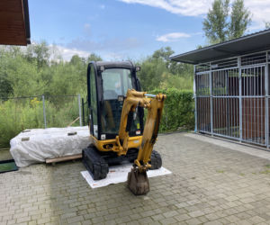 Trwa budowa wybiegu dla psów