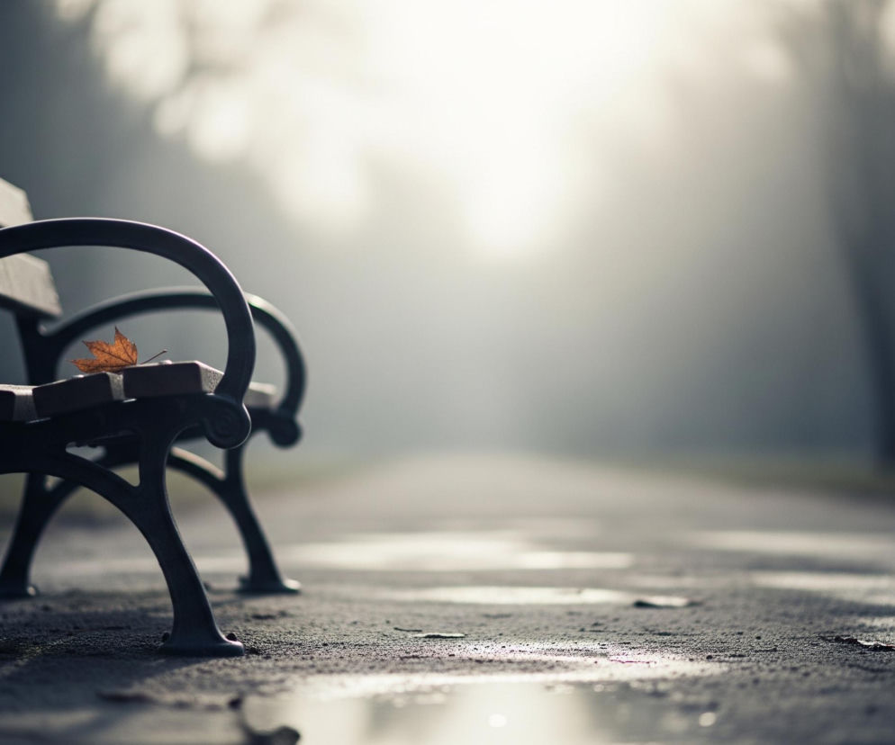 Ciemna ławka parkowa z metalowymi, zaokrąglonymi podłokietnikami i drewnianymi deskami oparcia i siedziska, umiejscowiona jest po lewej stronie kadru. Na jej drewnianym siedzisku leży pojedynczy, brązowo-pomarańczowy liść. Ławka stoi na ciemnym, wilgotnym chodniku lub alei parkowej, gdzie widać liczne kałuże odbijające jasne światło z dalszej części obrazu. Tło jest rozmyte, jasne i mgliste, przechodząc w jaśniejsze partie w górnej części kadru, sugerując źródło światła lub słońce przebijające się przez mgłę.