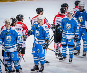 KH Energa Toruń - Unia Oświęcim 4:0, zdjęcia z meczu