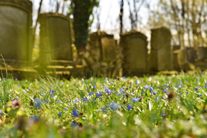 Cmentarz poewangelicki w Osiecznej