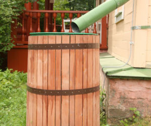 deszczowka