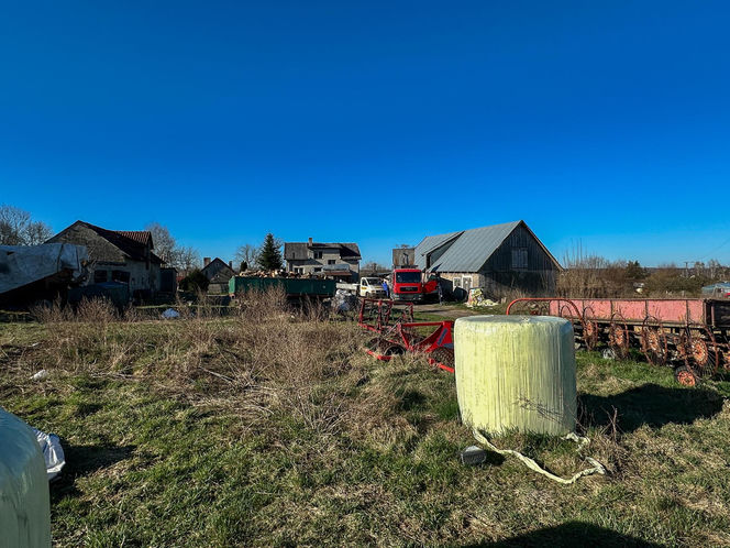 Horror koło Ostródy. Zwierzęta konały bez światła, wody i jedzenia