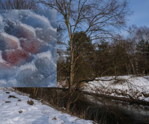 Pożar altany w Sosnowcu