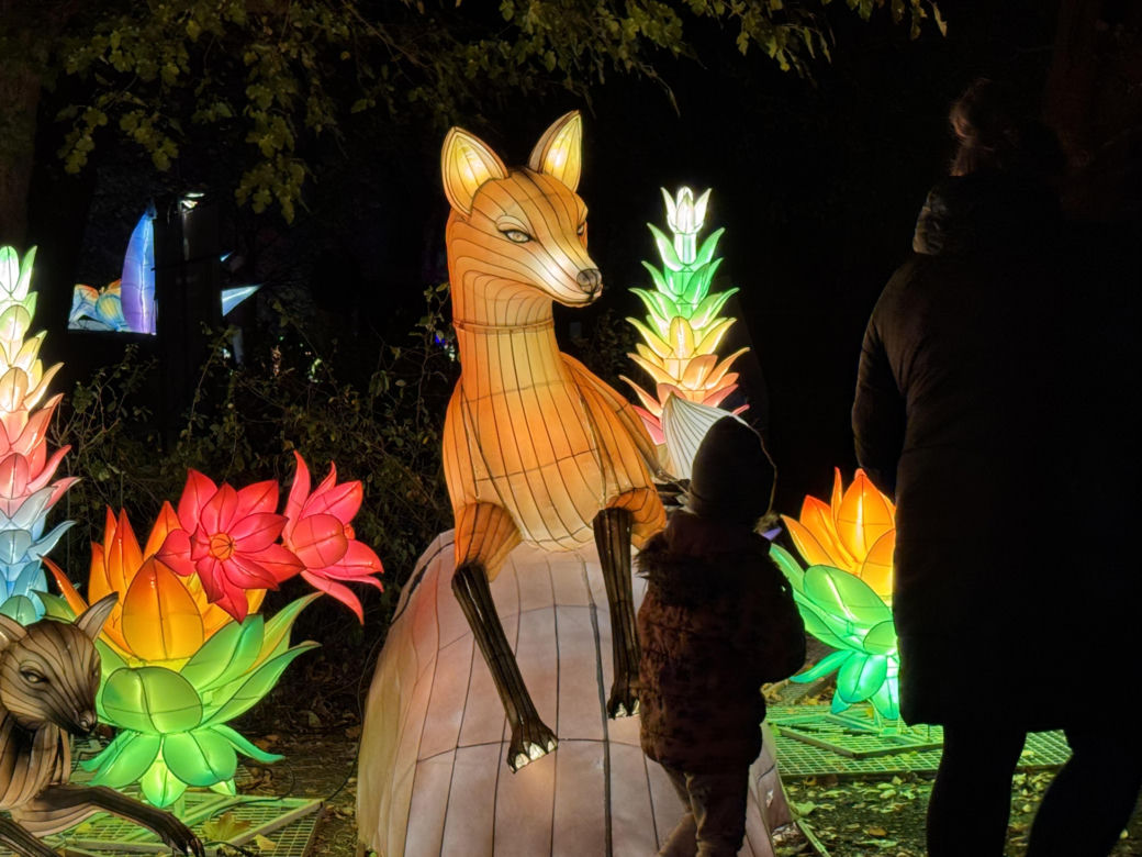 Garden of Lights we Wrocławiu