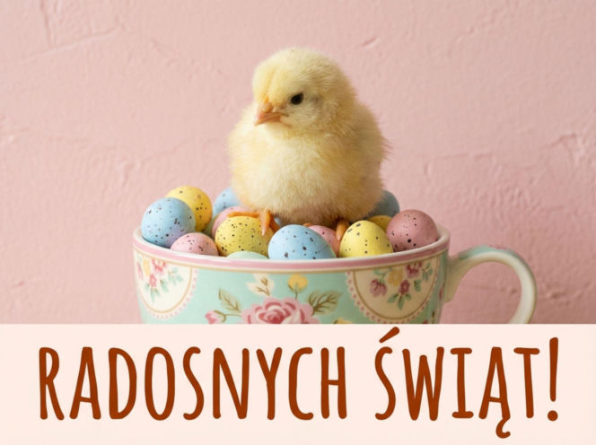 Wielkanoc2026-kurczak-w-filizance